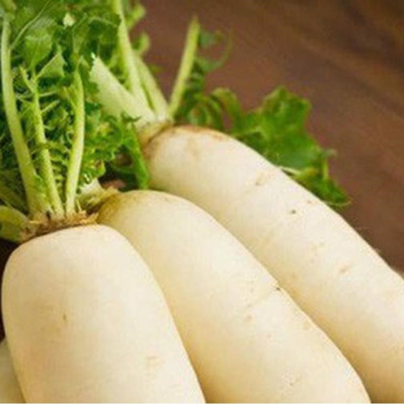 Hạt giống rau Củ cải trắng F1